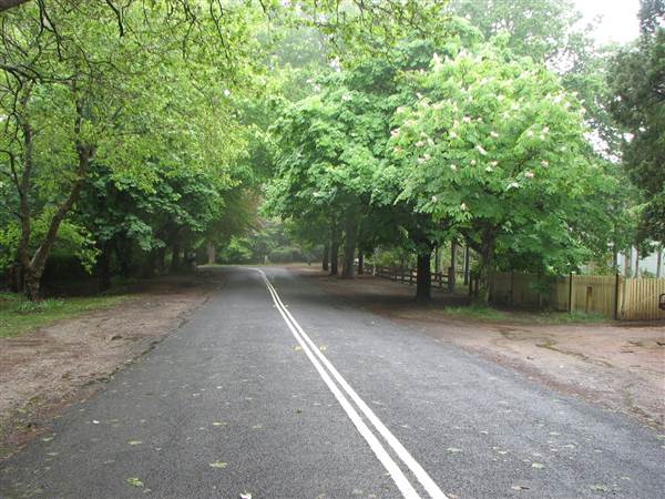 Mount Wilson Roads (24/02/2015 - Credits: Phillip Roope)