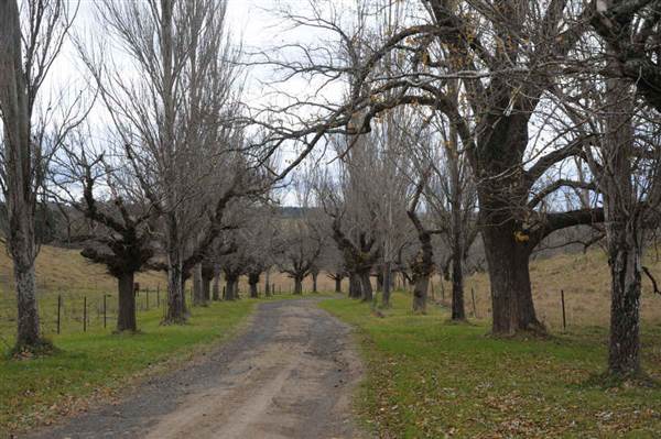 Hillview Heritage Hotel - Southern Highlands (25/05/2011 - Credits: Phillip Roope)