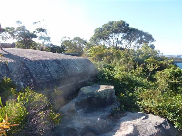 Middle Head Fortifications (13/03/2015)