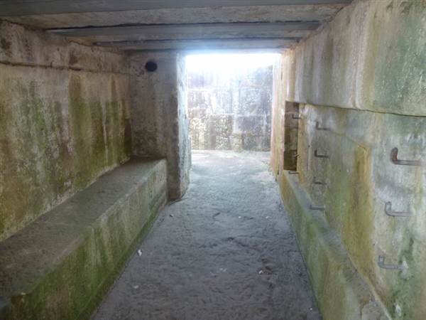 Middle Head Fortifications (13/03/2015)