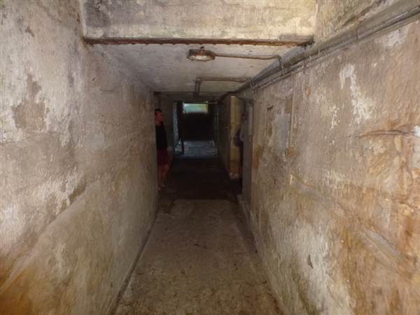 Middle Head Fortifications (13/03/2015)