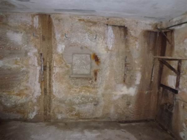 Middle Head Fortifications (13/03/2015)