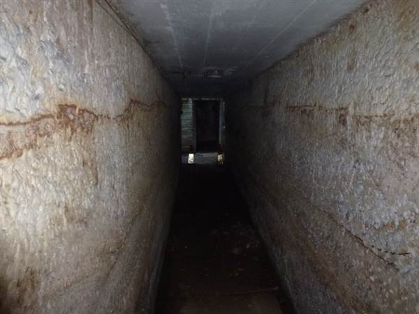 Middle Head Fortifications (13/03/2015)