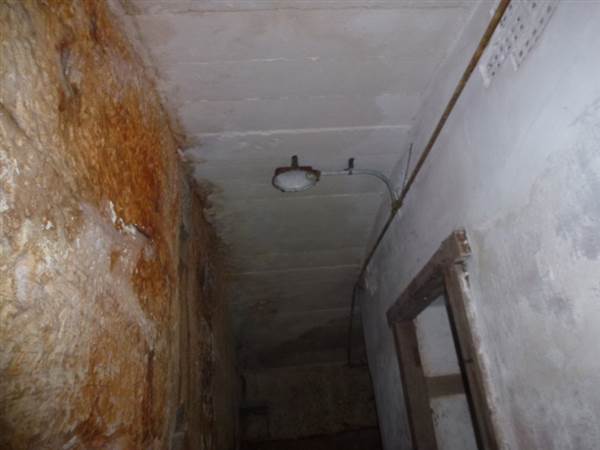 Middle Head Fortifications (13/03/2015)