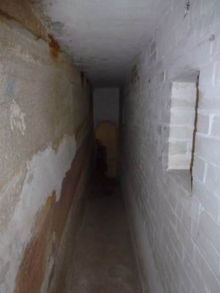 Middle Head Fortifications (13/03/2015)
