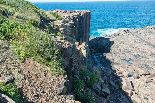 Bombo Headland Quarry (30/04/2015 - Credits: Colin McDougall)