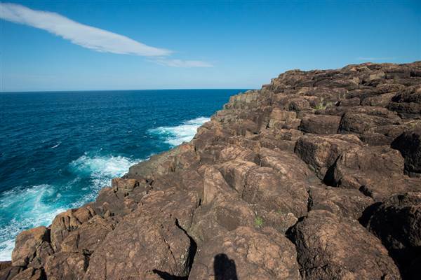 Bombo Headland Quarry (30/04/2015 - Credits: Colin McDougall)