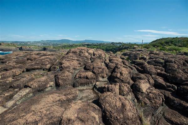 Bombo Headland Quarry (30/04/2015 - Credits: Colin McDougall)