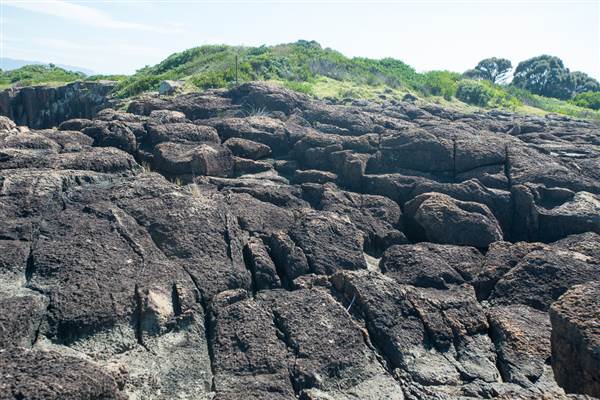 Bombo Headland Quarry (30/04/2015 - Credits: Colin McDougall)