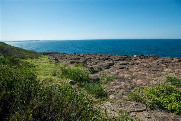 Bombo Headland Quarry (30/04/2015 - Credits: Colin McDougall)