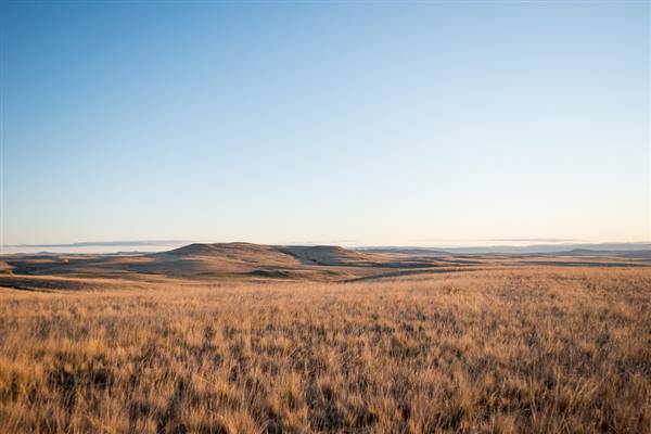 Monaro Plains (20/06/2015 - Credits: Colin McDougall)