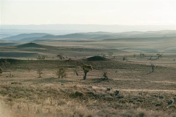 Monaro Plains (20/06/2015 - Credits: Colin McDougall)