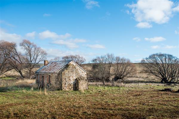 Nimmitabel Cottage (24/07/2015)
