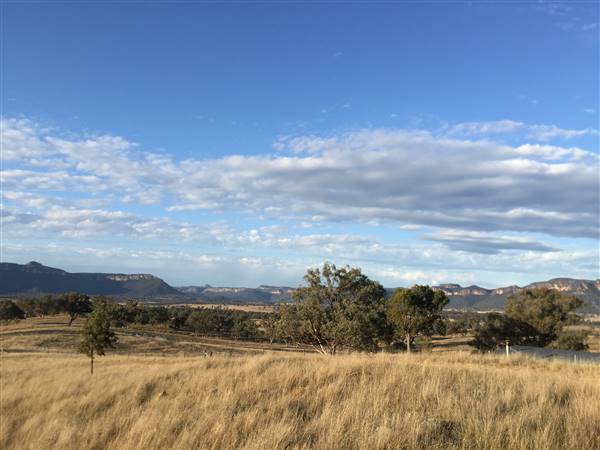Snow Goose Farm - Glen Alice (8/11/2015)
