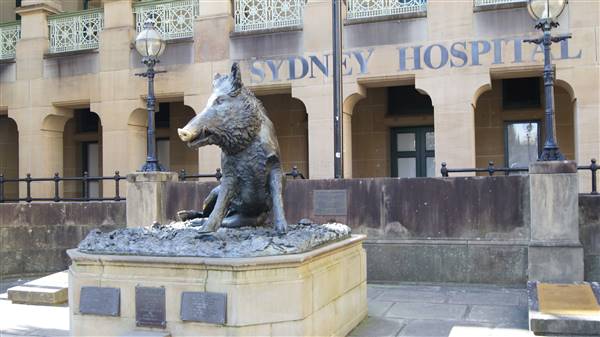 Sydney Hospital & Sydney Eye Hospital (20/08/2015 - Credits: Shannon Wheeler)