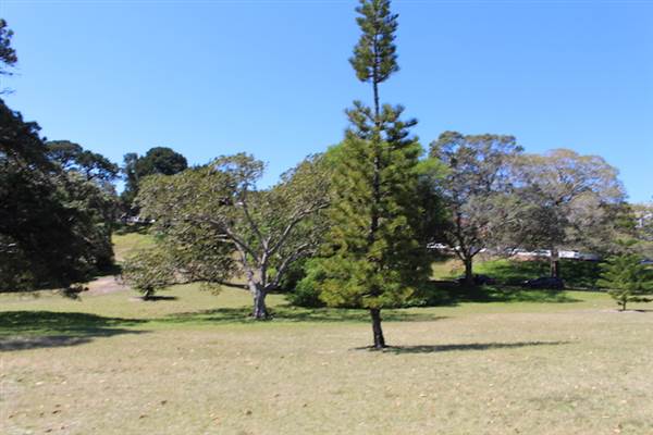 Centennial Park - Loch Ave South (24/10/2014)
