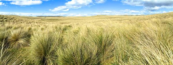 Monaro Plains (1/09/2015 - Credits: Brett Smith)