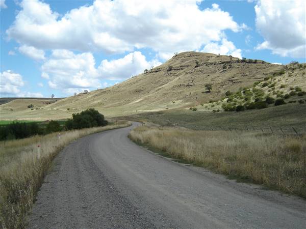 Monaro Plains - Summer (1/02/2005 - Credits: Colin McDougall)