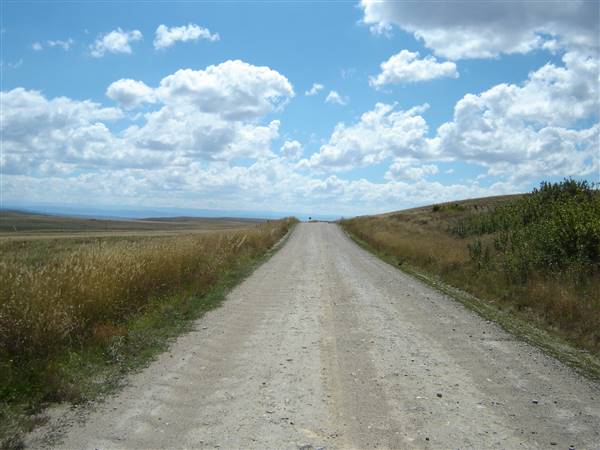 Monaro Plains - Summer (1/02/2005 - Credits: Colin McDougall)