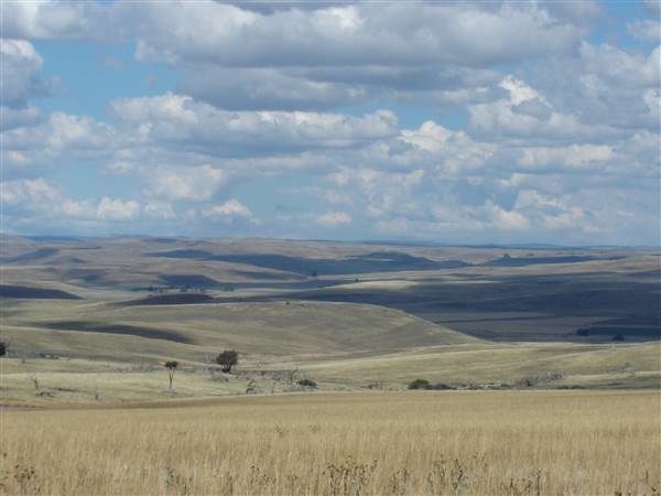 Monaro Plains (1/02/2005 - Credits: Colin McDougall)