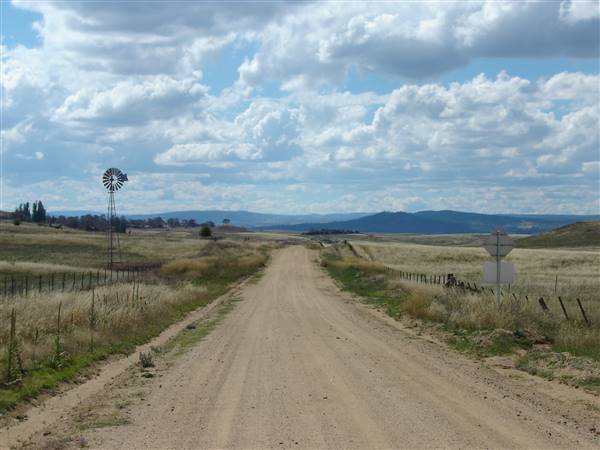 Monaro Plains (1/02/2005 - Credits: Colin McDougall)