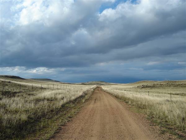 Monaro Plains (1/02/2005 - Credits: Colin McDougall)