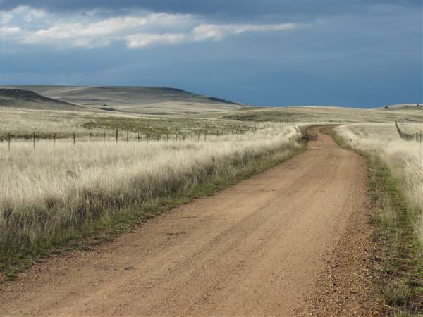 Monaro Plains (1/02/2005 - Credits: Colin McDougall)