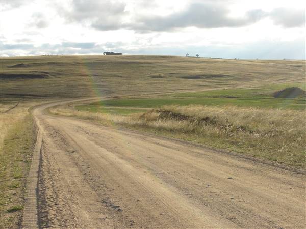 Monaro Plains (1/02/2005 - Credits: Colin McDougall)