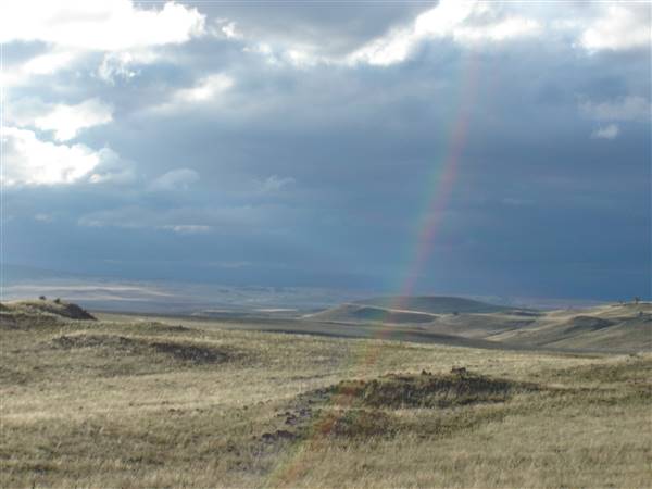 Monaro Plains (1/02/2005 - Credits: Colin McDougall)