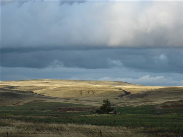 Monaro Plains (1/02/2014 - Credits: Colin McDougall)
