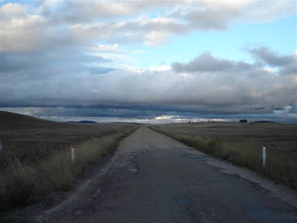 Monaro Plains (1/02/2014 - Credits: Colin McDougall)