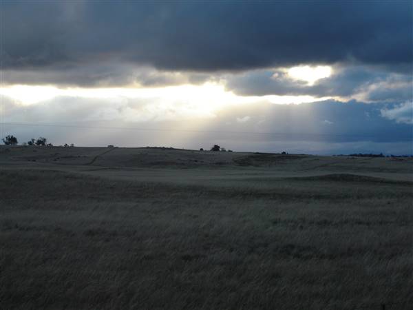 Monaro Plains (1/02/2014 - Credits: Colin McDougall)