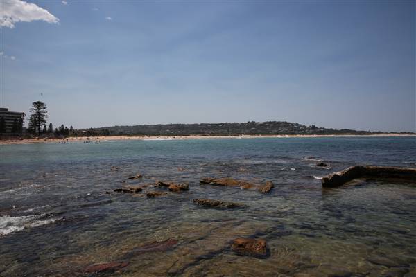 Dee Why Beach and Surrounds (20/11/2015 - Credits: Lisa Scope)