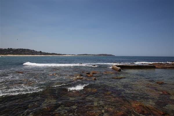 Dee Why Beach and Surrounds (20/11/2015 - Credits: Lisa Scope)