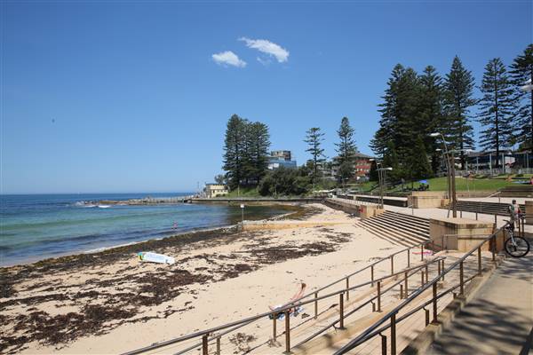 Dee Why Beach and Surrounds (20/11/2015 - Credits: Lisa Scope)