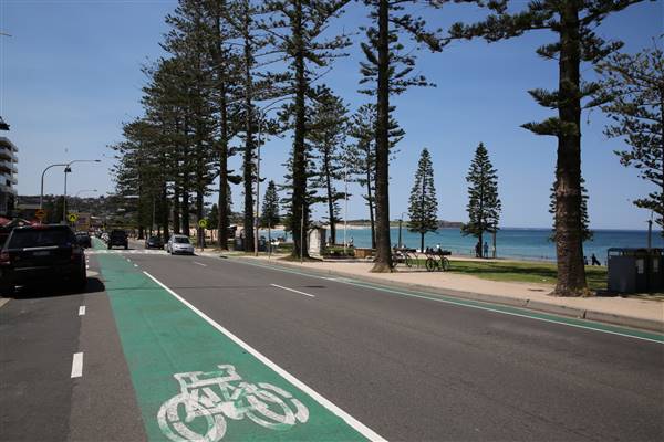 Dee Why Beach and Surrounds (20/11/2015 - Credits: Lisa Scope)