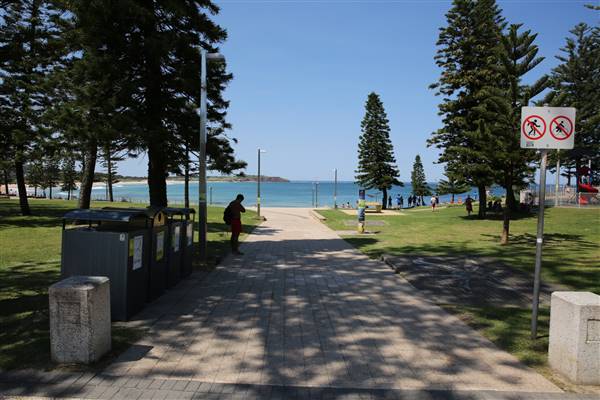 Dee Why Beach and Surrounds (20/11/2015 - Credits: Lisa Scope)