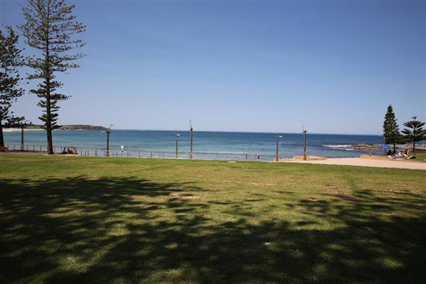 Dee Why Beach and Surrounds (20/11/2015 - Credits: Lisa Scope)