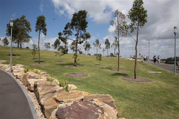 Barangaroo Reserve (25/11/2015)