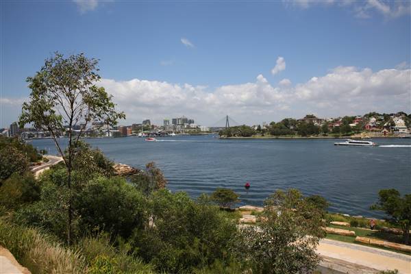 Barangaroo Reserve (25/11/2015)