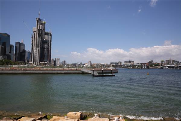 Barangaroo Reserve (25/11/2015)