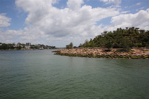 Barangaroo Reserve (25/11/2015)