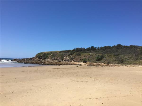 Emerald Beach (25/10/2015 - Credits: Andrew Nadkarni)