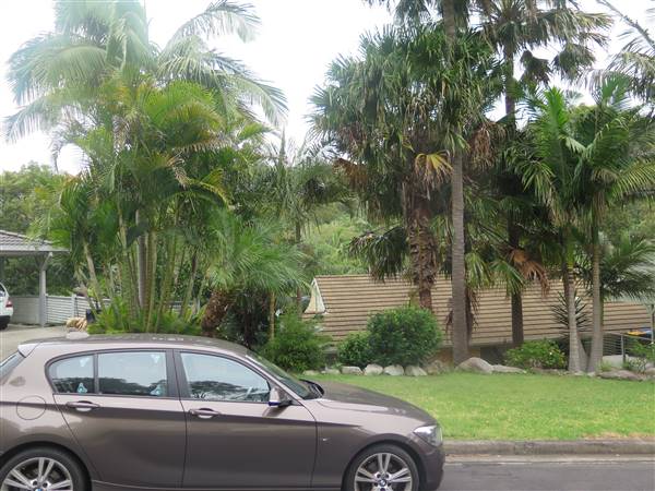 Avalon Beach neighbourhood - cul-de-sac (8/12/2015 - Credits: Peter Hicks)