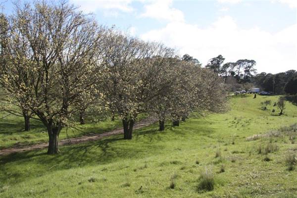 Private House - Crookwell (5/02/2016)