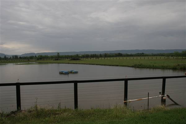 Hobartville (15/03/2016)