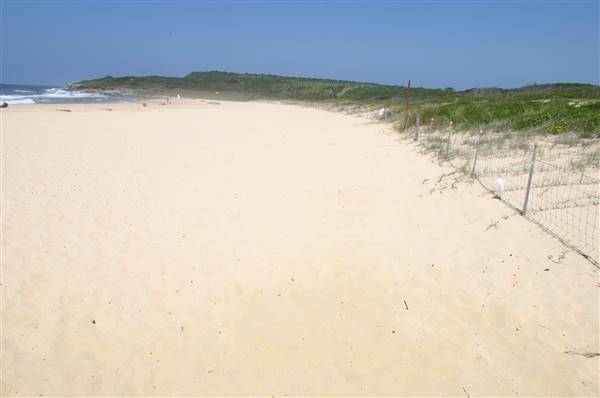 South Maroubra Beach (2/02/2006 - Credits: Lisa Scope)
