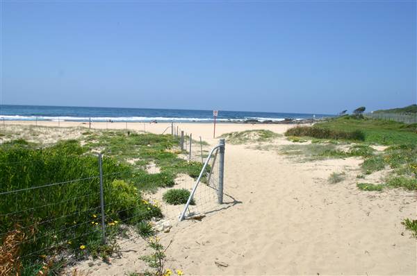 South Maroubra Beach (2/02/2006 - Credits: Lisa Scope)