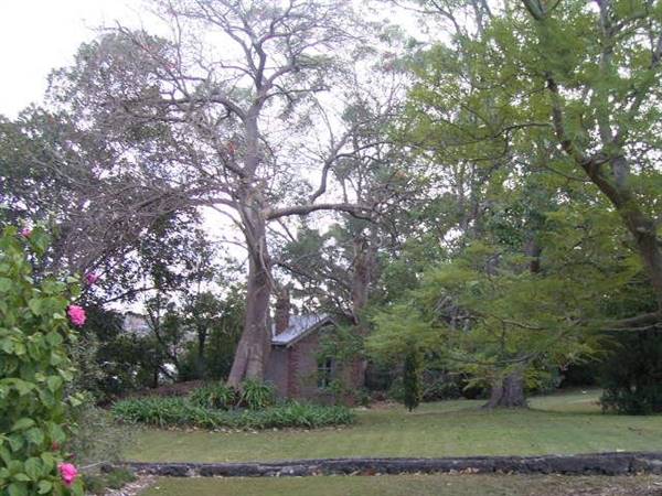 St Ignatius College, Riverview - Grounds/Sportsfields (20/04/2016)