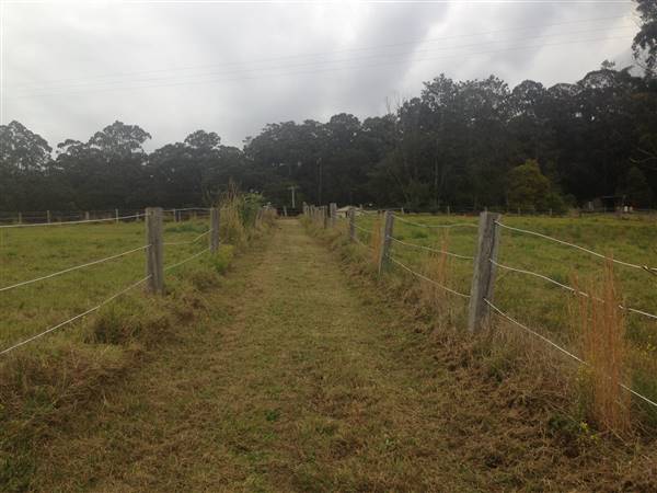 Prize Farm - Private Property Minimbah (1/01/2016)